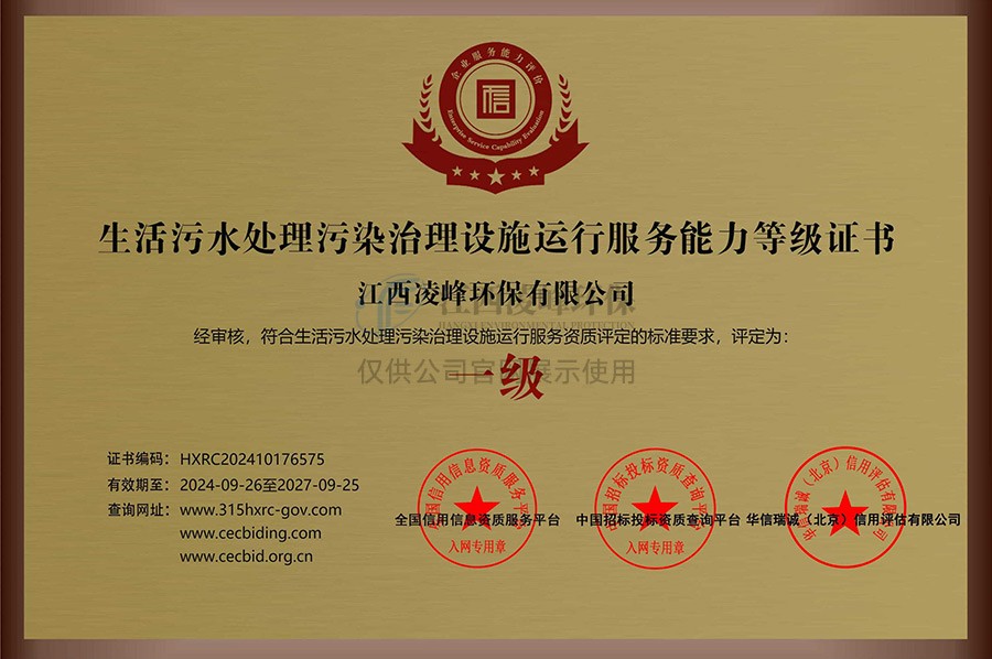 生活污水处理污染治理设施运行服务能力等级证书（一级）